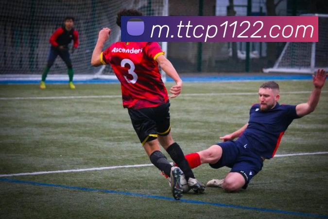 天天彩票官方网站平台生态图